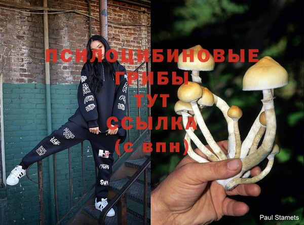 гашик Абинск